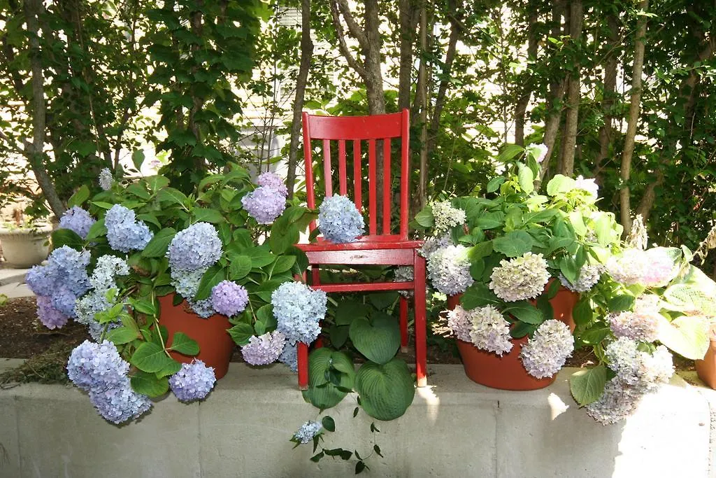 Hydrangea House Inn-1